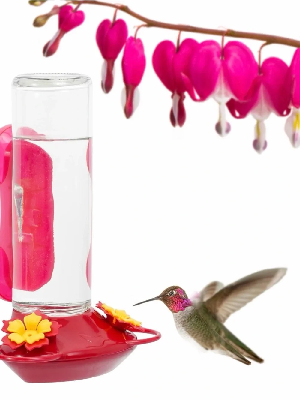 N/A attract hummingbirds